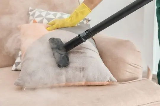 steam bed bug treatment orangeville